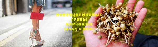 ешки Дмитриев