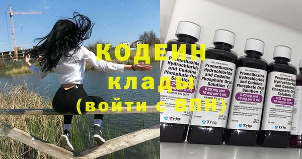 ешки Дмитриев