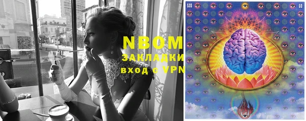 стафф Елабуга