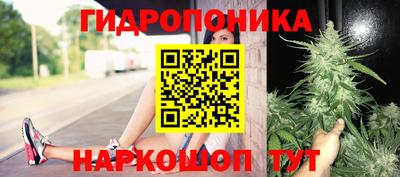 сатива Кулебаки