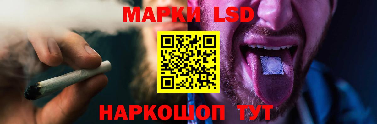 Альфа ПВП Камышлов