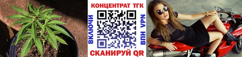 Дистиллят ТГК гашишное масло  shop телеграм  Камышлов  где продают наркотики 