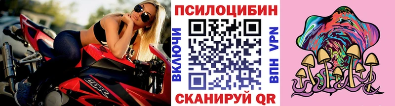 MEGA tor  купить наркоту  Камышлов  Галлюциногенные грибы Psilocybe 