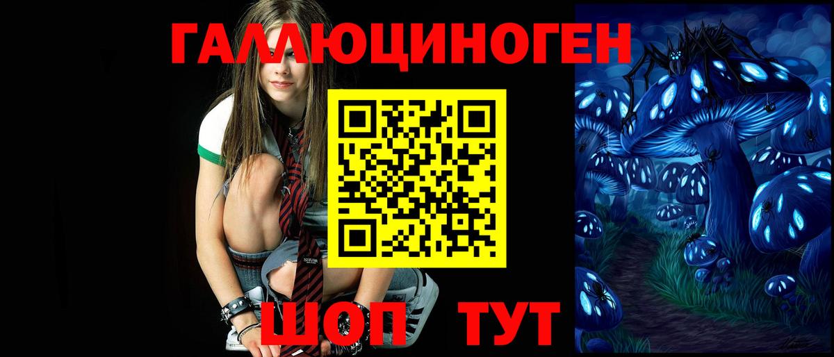 Камышлов  Галлюциногенные грибы ЛСД  Вход с VPN  Галлюциногенные грибы Magic Shrooms 